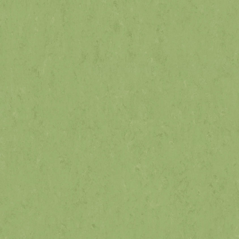 Linoleum Veneto 2,5mm Green 754